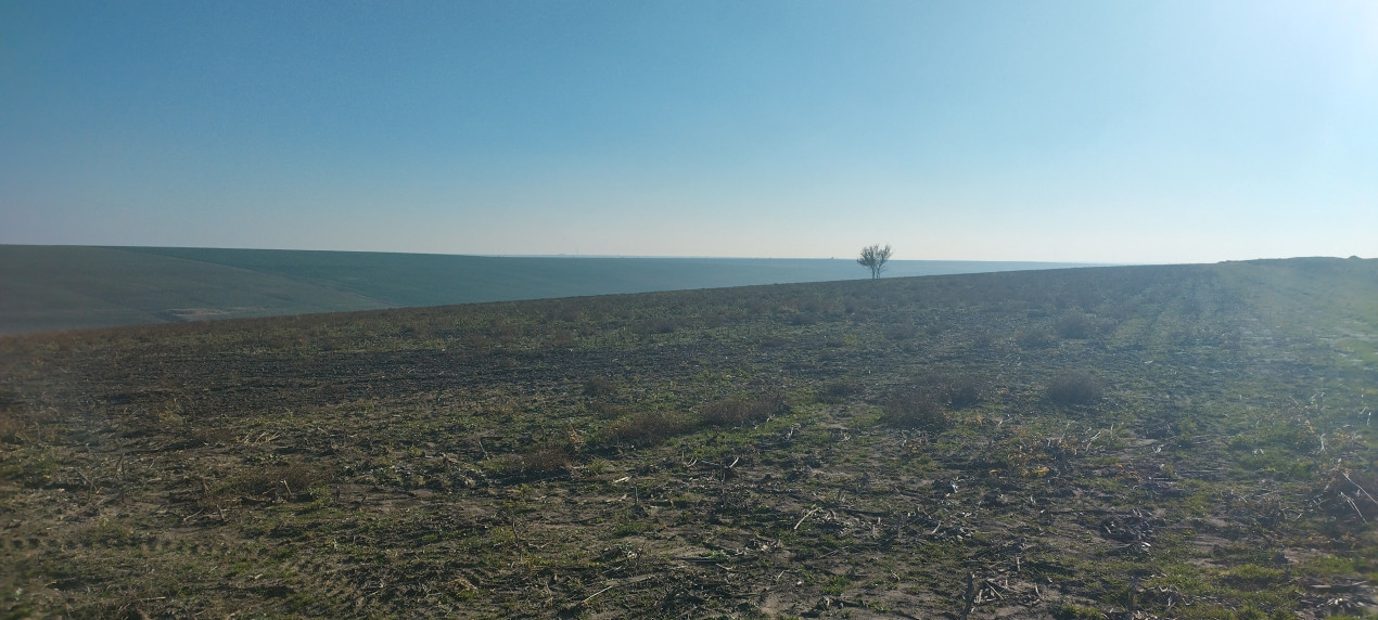 Teren Extravilan Agricol de 131 ha Compacte