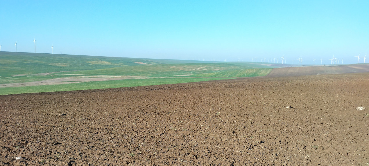 Teren Extravilan Agricol de 131 ha Compacte