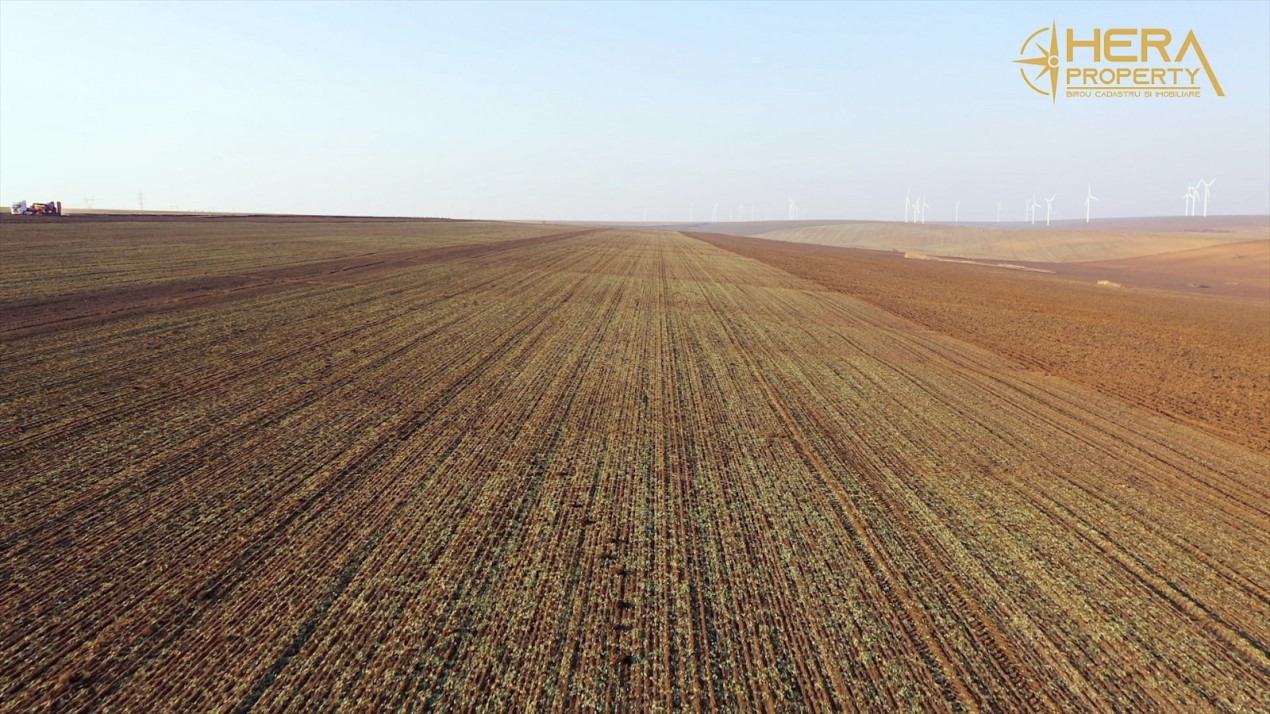 Teren Extravilan Agricol de 131 ha Compacte