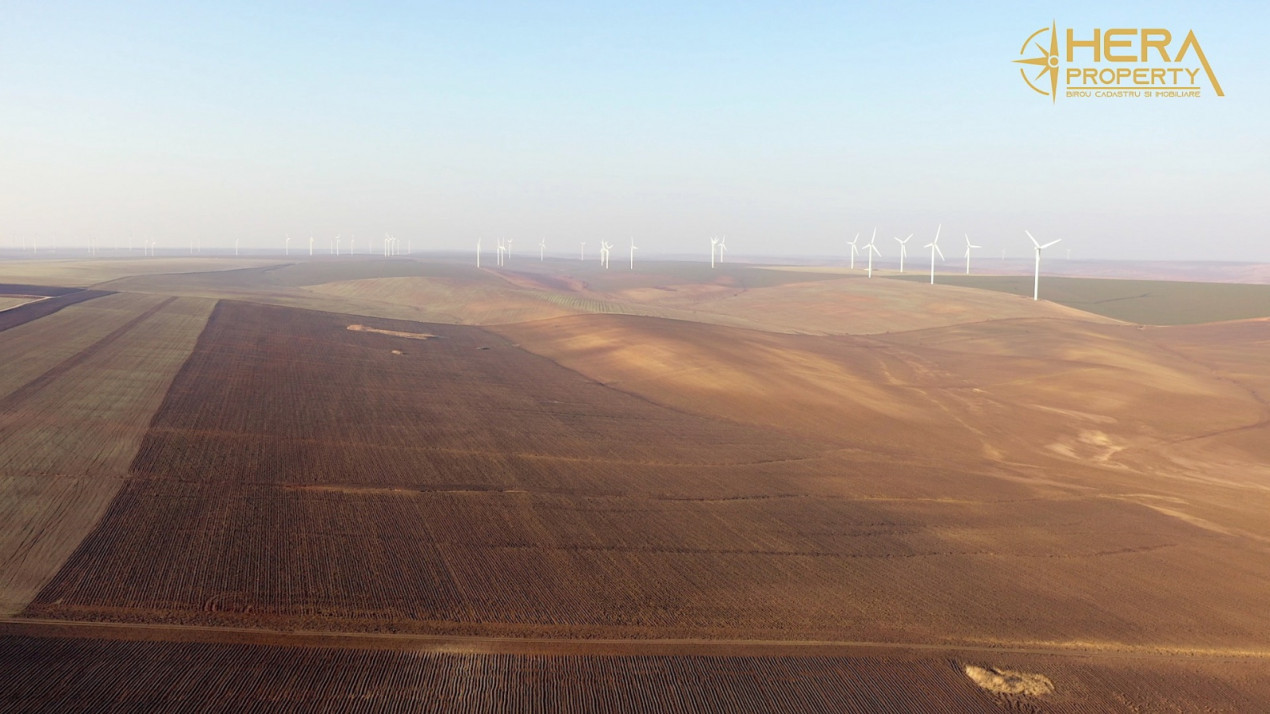 Teren Extravilan Agricol de 131 ha Compacte