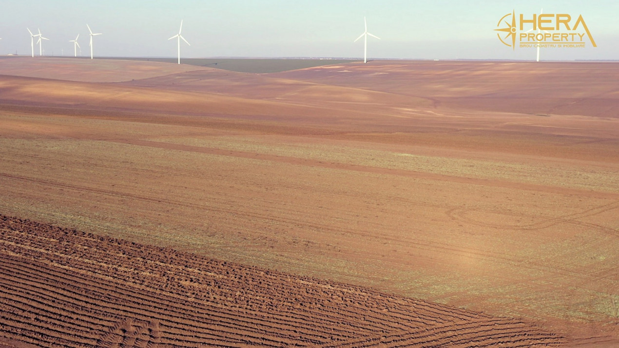 Teren Extravilan Agricol de 131 ha Compacte