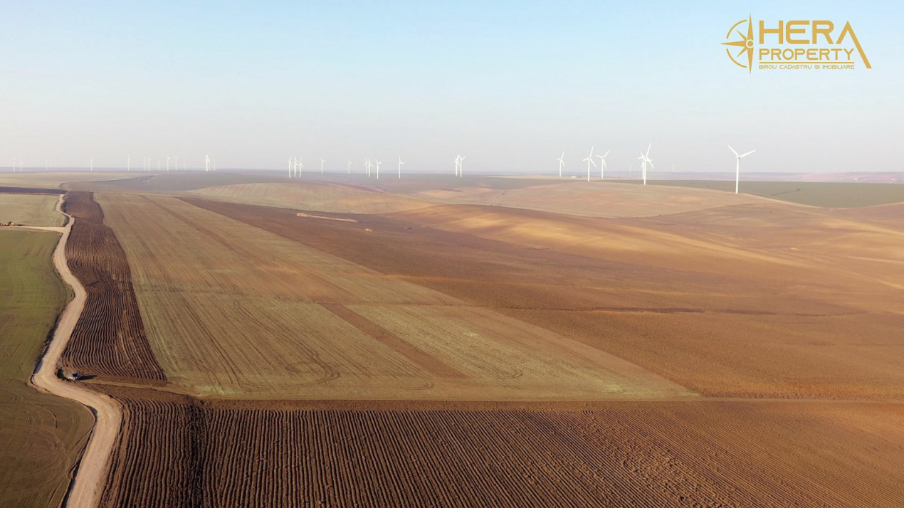Teren Extravilan Agricol de 131 ha Compacte