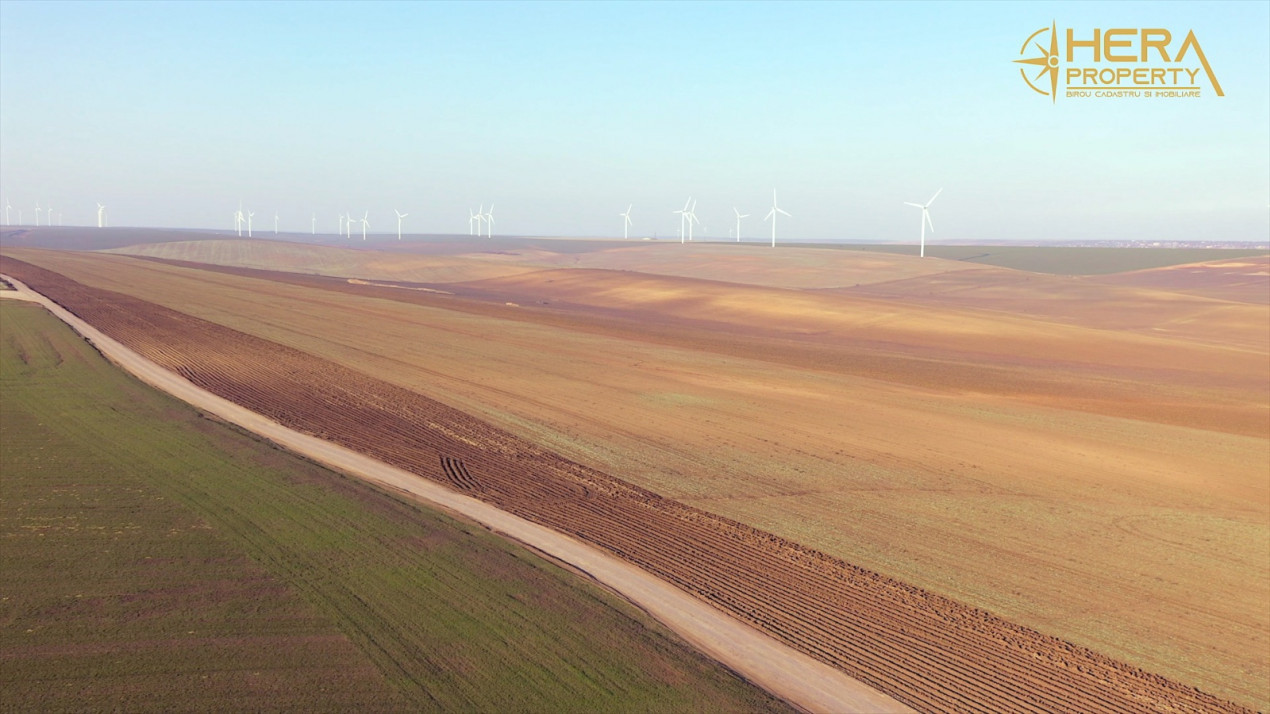 Teren Extravilan Agricol de 131 ha Compacte