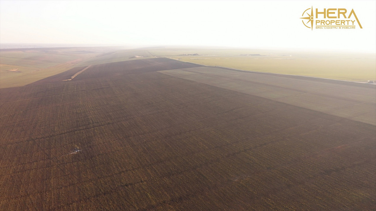 Teren Extravilan Agricol de 131 ha Compacte