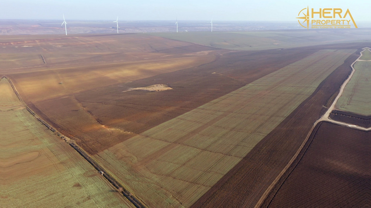 Teren Extravilan Agricol de 131 ha Compacte