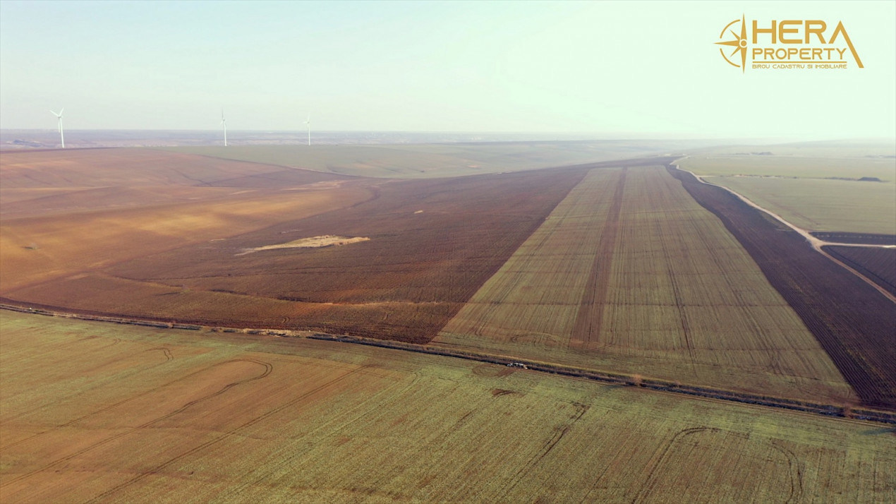 Teren Extravilan Agricol de 131 ha Compacte
