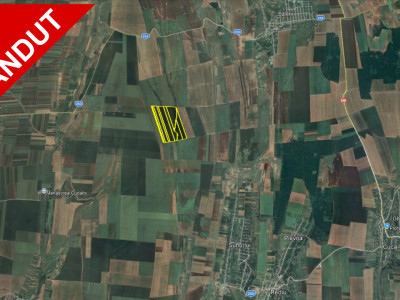 Teren Extravilan Agricol de 131 ha Compacte
