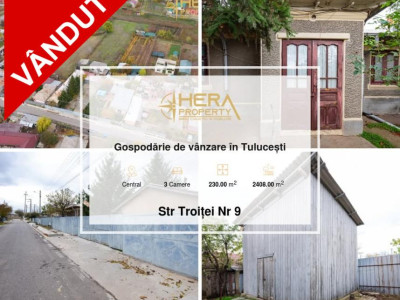 Gospodărie de vânzare în Tulucești