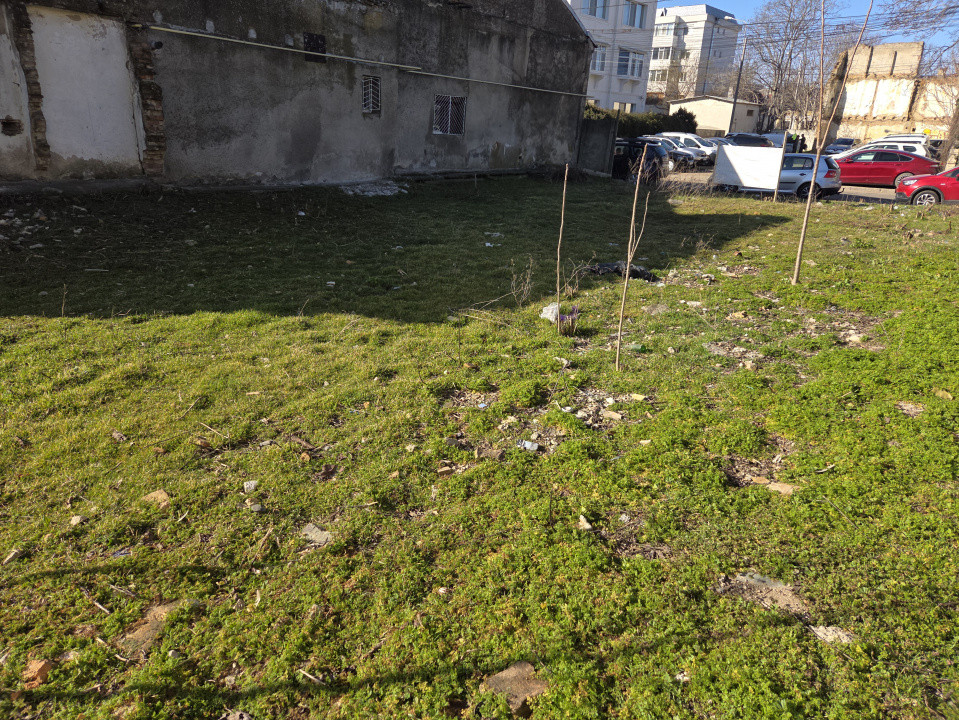 Teren ultracentral pe Al. I. Cuza