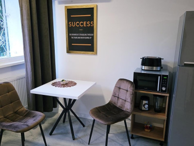 Apartament cu 1 cameră de închiriat Mazepa Roșiori